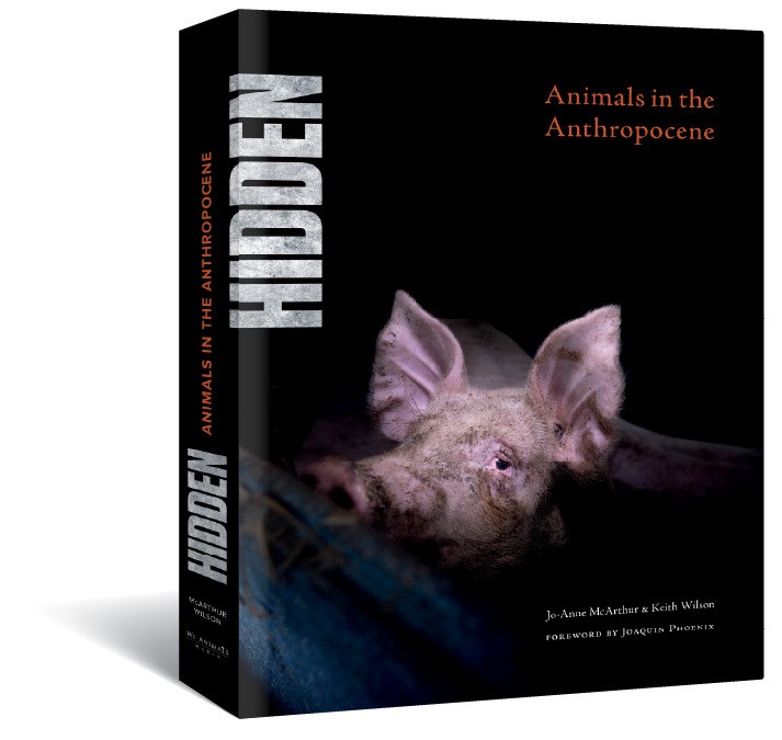 HIDDEN: Animals in the Anthropocene 